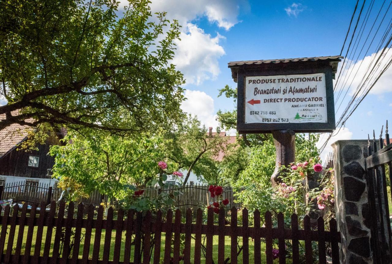 Вилла Bradutul De La Munte Бран Экстерьер фото